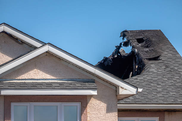 Top rated local Firefighting Water Removal specialists in Shafer, MN